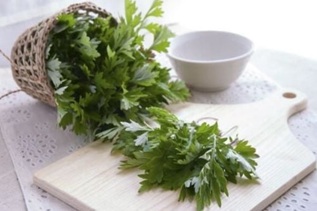 Tìm ra hoạt chất hỗ trợ điều trị gout trong cây ngải cứu